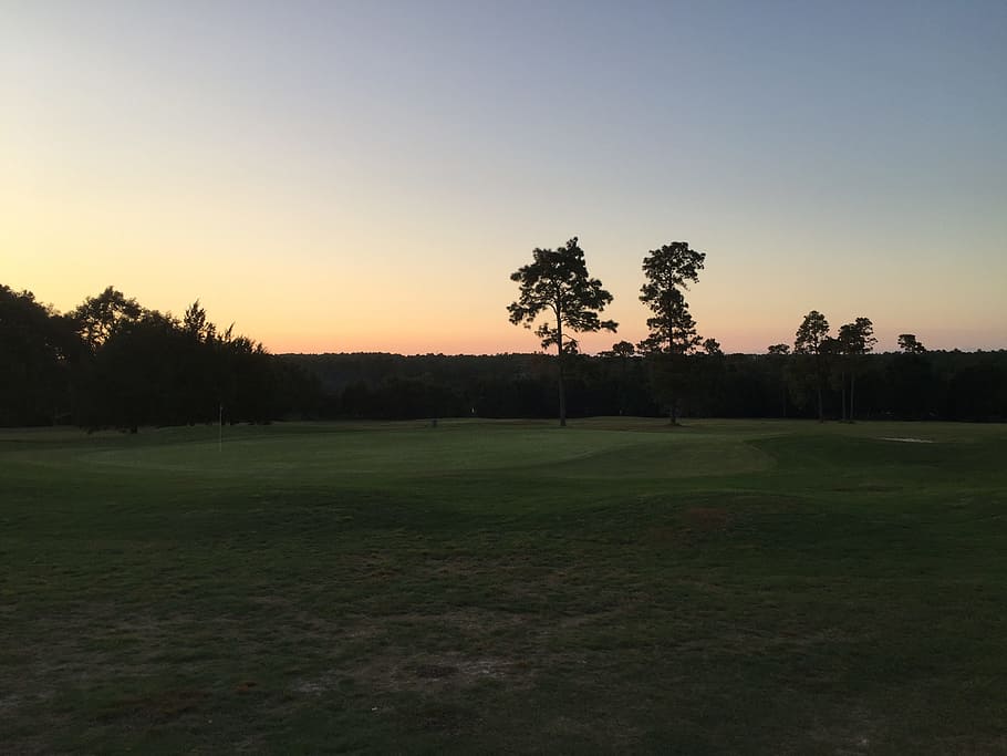 golf course, evening sun, fairway, tree, sky, plant, tranquility, HD wallpaper