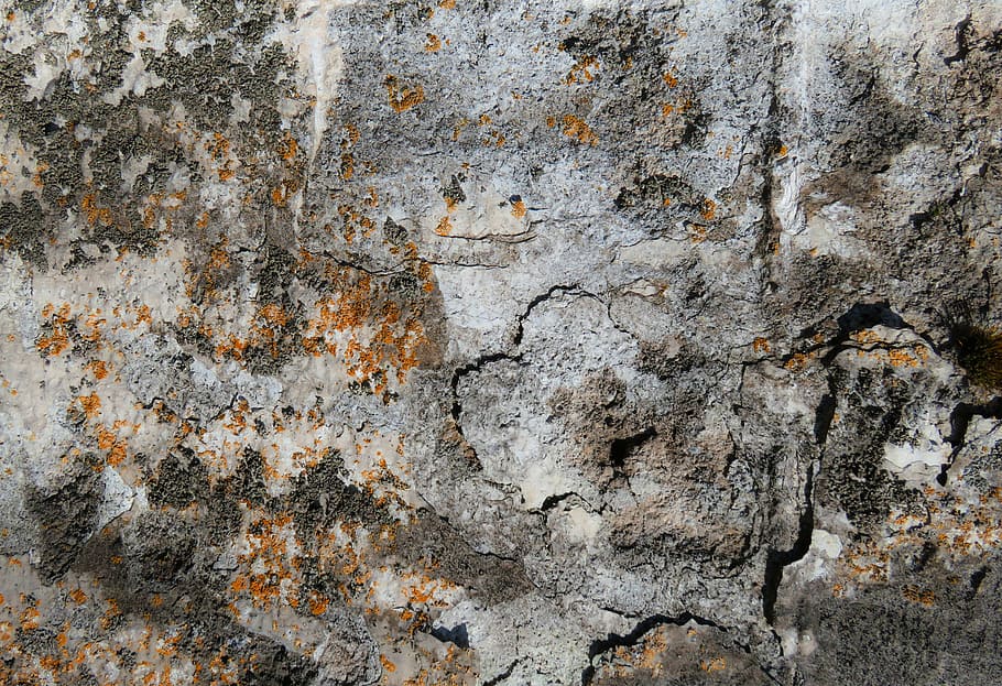 gray and black concrete surface, texture, background, wall HD wallpaper