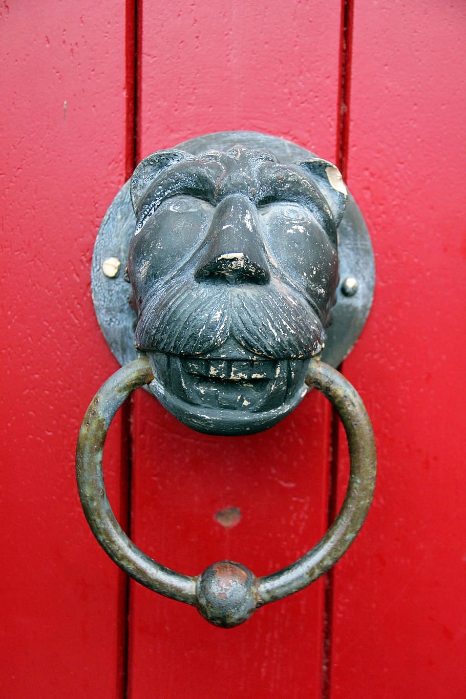 doorknocker, red, lion, lion head, ring, thumper, input, door Knocker, HD wallpaper