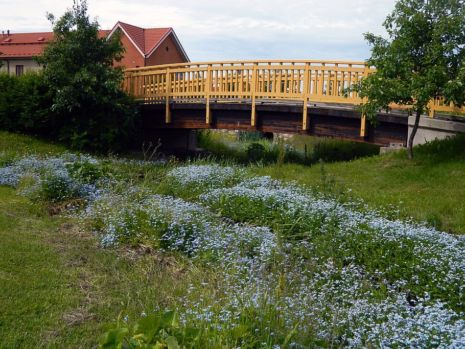 summer, bridge, flower, grass, trees, shrubs, houses, finnish HD wallpaper