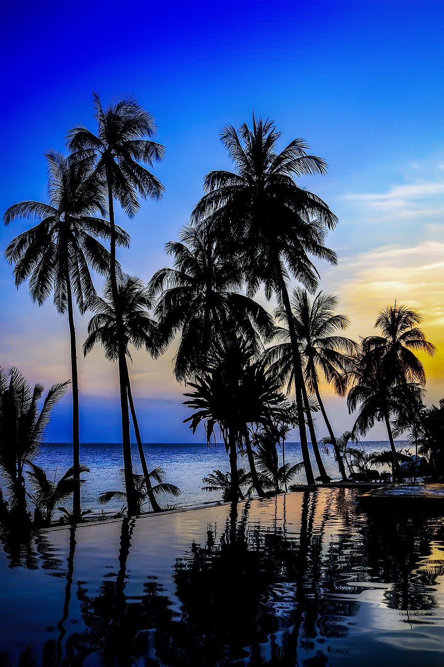 palm, beach, tropical, seashore, sunset, dusk, summer, lang tengah island, HD wallpaper