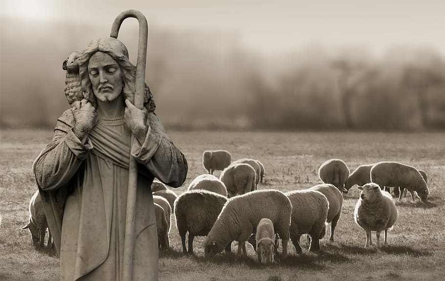 HD wallpaper: grayscale photo of religious man, religion, faith, shepherd,  schäfer | Wallpaper Flare