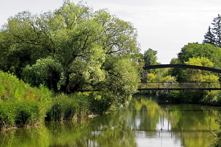 bridge, trees, reflection, water, creek, landscape, green, scenic HD wallpaper