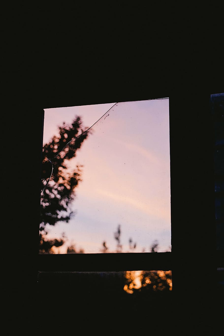 untitled, dark, room, window, glass, outside, view, tree, bokeh HD wallpaper