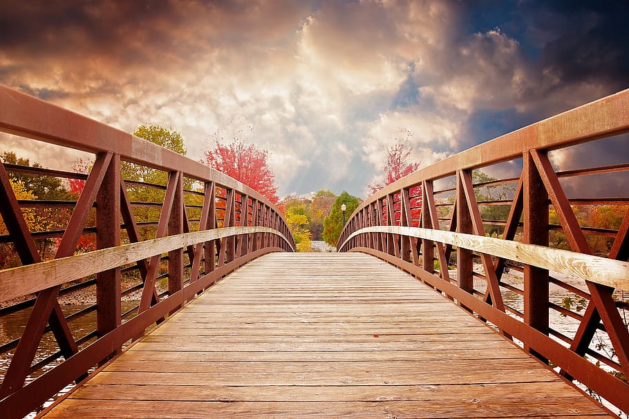 brown wooden bridge at daytime, sunset, nature, fall, river, city