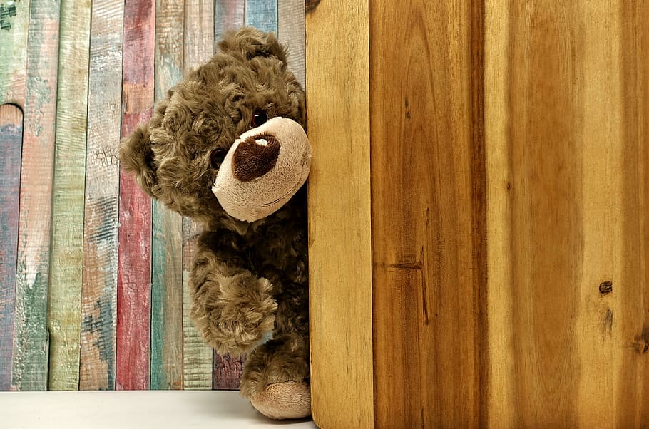 brown bear peeking on wooden panel, teddy, teddy bear, soft toy, HD wallpaper