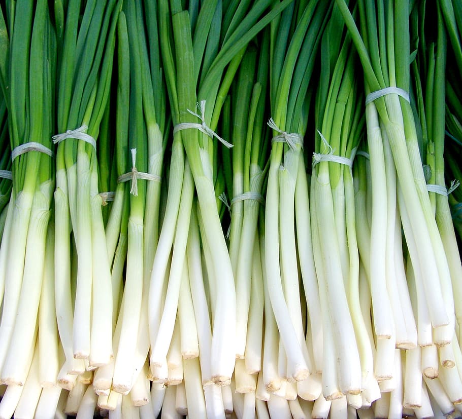bundle of spring onions, green onion, vegetables, green color