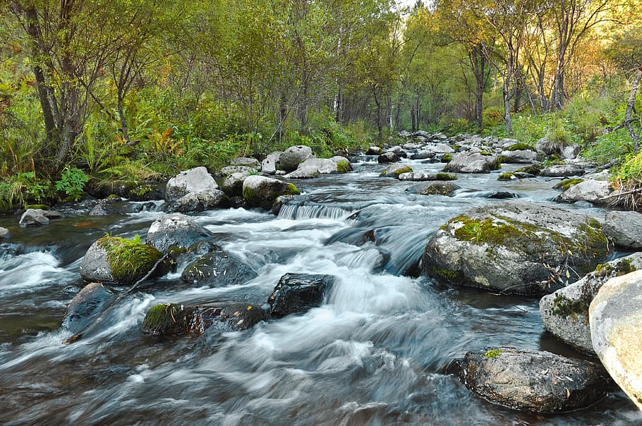 time lapse photography of flowing water surrounded with trees HD wallpaper