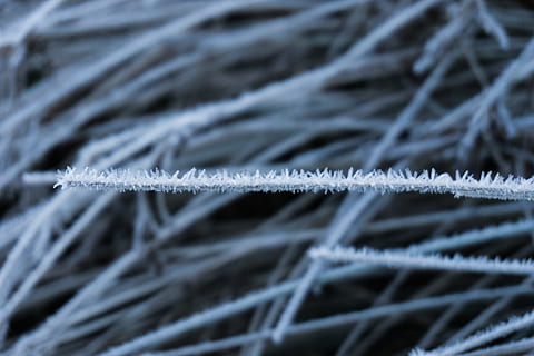 Snow, Ice, Icicle, Winter, Cold, Frost, winter dream, fruit HD wallpaper