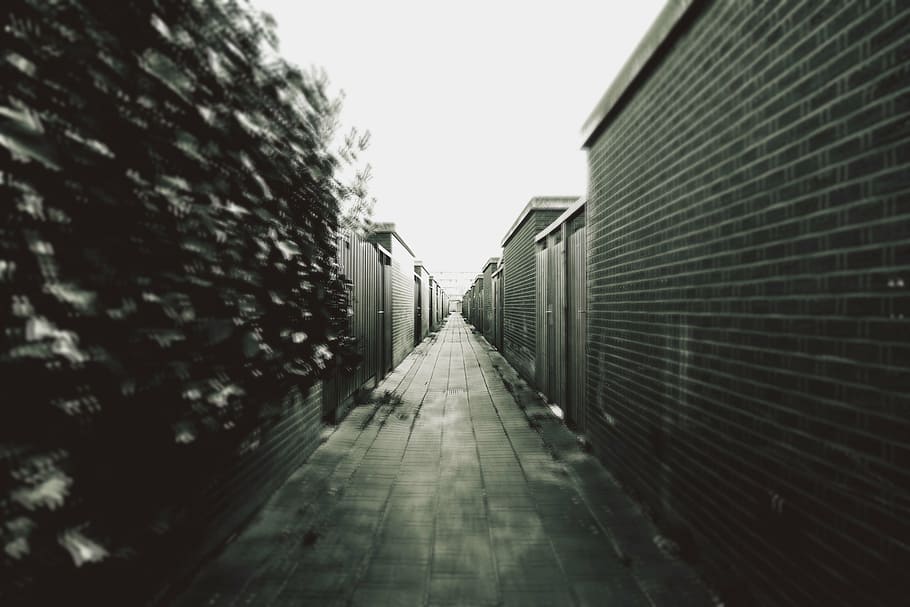 grayscale photography of street, architecture, building, structure HD wallpaper