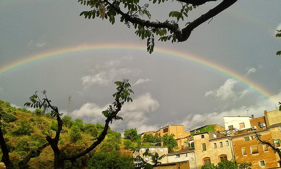 rainbow, storm, calm, city, after rain, tree, plant, cloud - sky, HD wallpaper