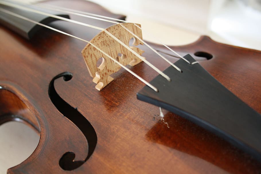 stringed instrument, violin, wood, viola, woods, music, classic HD wallpaper