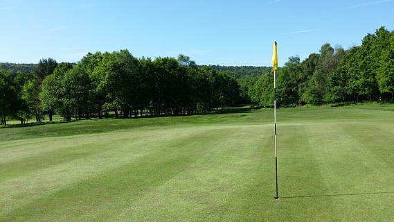golf field, green, grass, landscape, outdoor, summer, golfing HD wallpaper