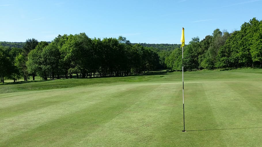 golf field, green, grass, landscape, outdoor, summer, golfing, HD wallpaper