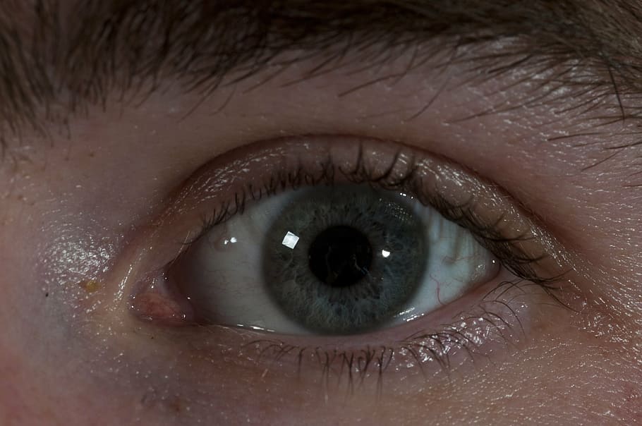 eye, eyeball, close up, vision, eyesight, human, white, macro HD wallpaper