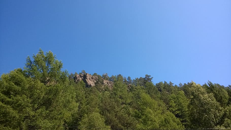 rocks, sky, nature, tree, plant, green color, blue, no people HD wallpaper