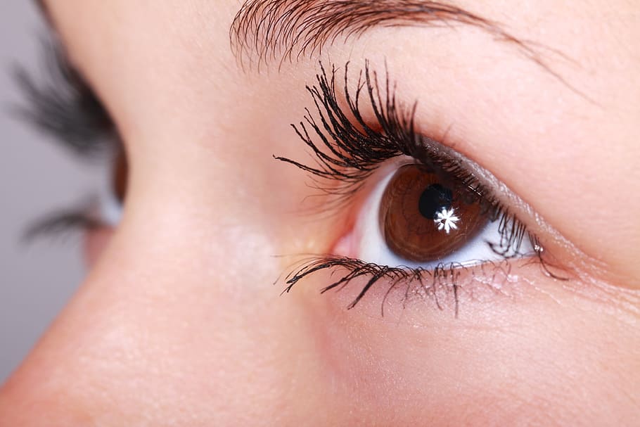 macro shot of human eyes, beautiful, close-up, eyebrows, eyelashes HD wallpaper