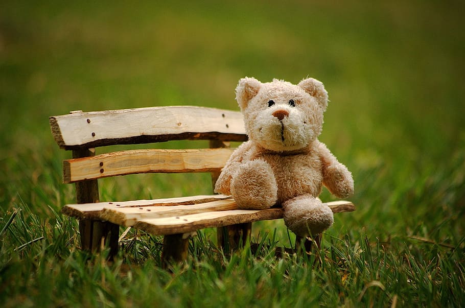 HD wallpaper: brown bear plush toy, children, teddy bears, little girl ...