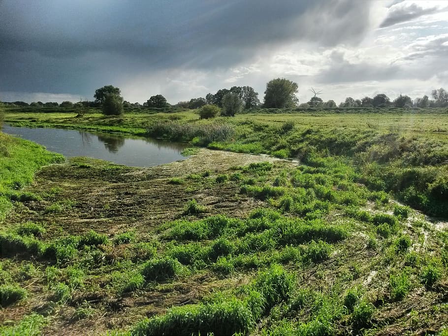 landscape, elbe, river, nature, bank, elbwiesen, meadow, elbufer HD wallpaper