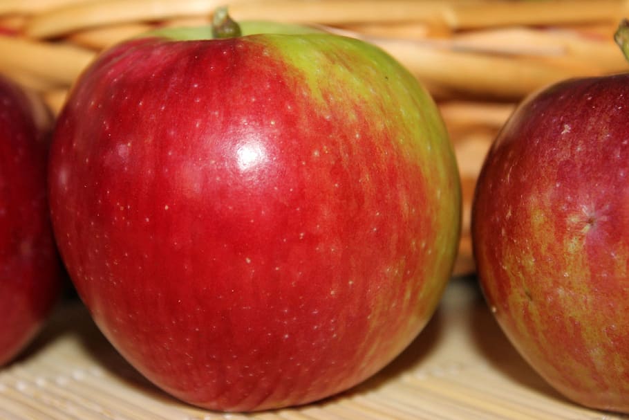 apple, fruit, red, frisch, vitamins, food and drink, freshness HD wallpaper