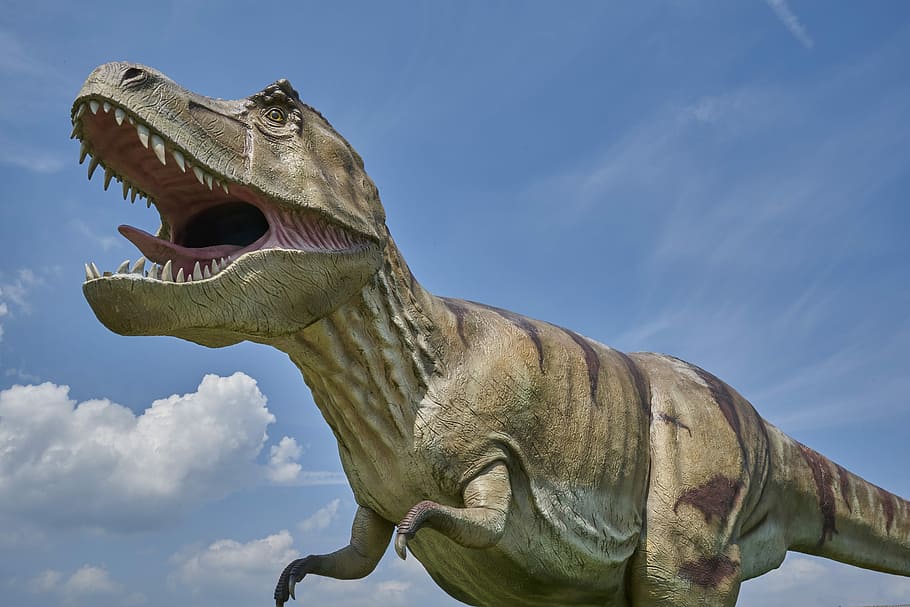 Tyrannosaurus Rex statue, dinosaur, prehistoric, carnivores, prehistoric times