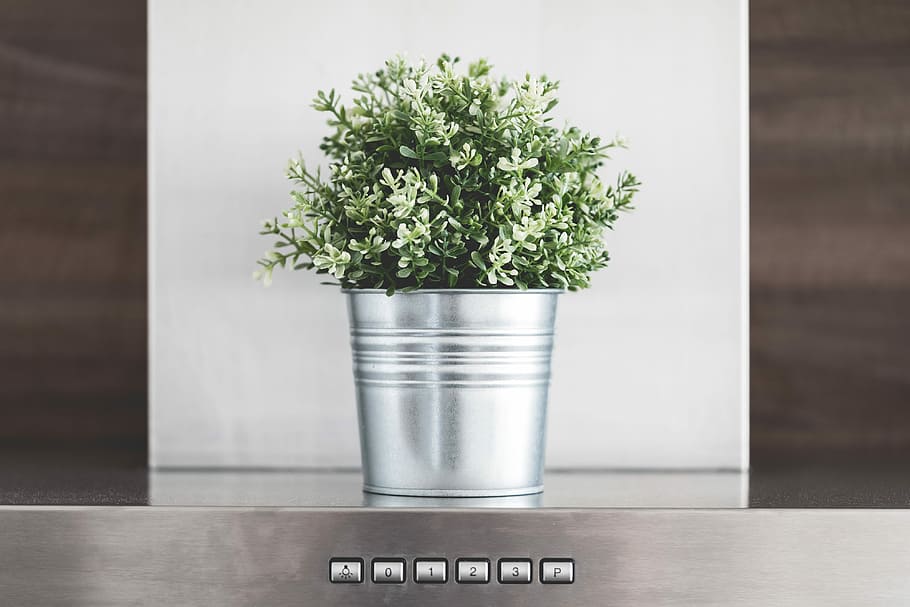 Kitchen Decoration: Green Flower in Metallic Flowerpot, architecture