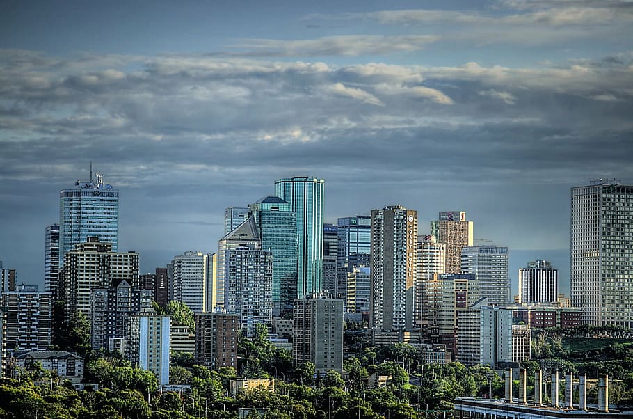 photo of city buildings and green trees, skyline, downtown HD wallpaper