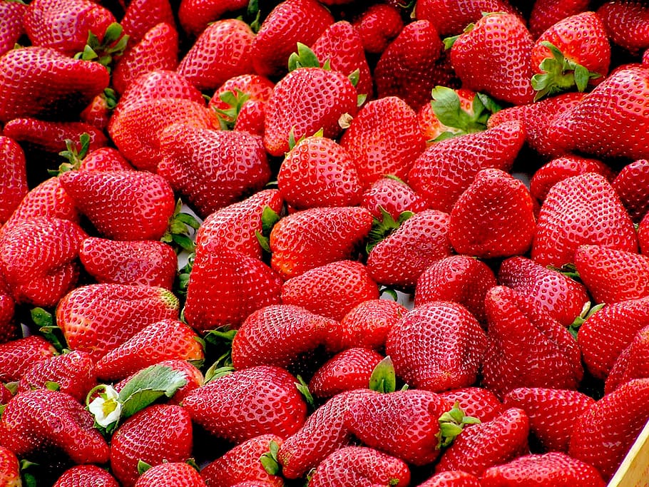 ripe strawberry lot, strawberries, red, fruit, healthy eating HD wallpaper