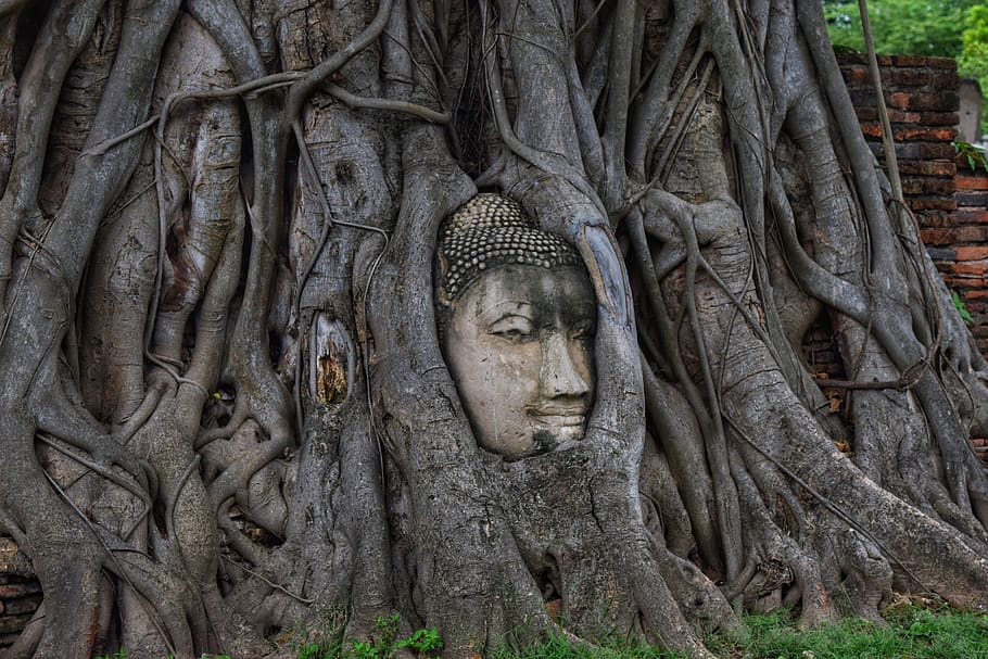 thailand, temple, ancient, sculpture, human representation HD wallpaper