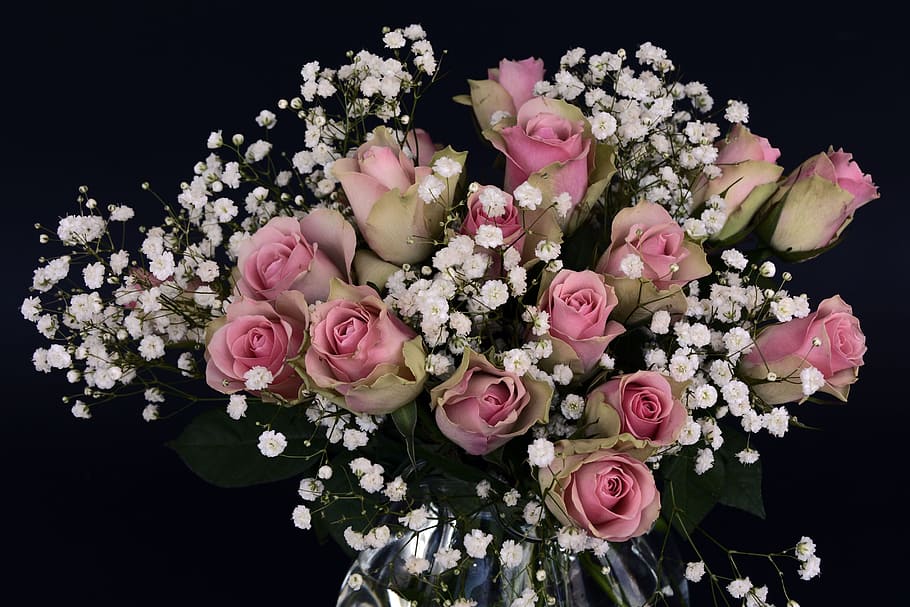 pink Rose flower bouquet, roses, flowers, white, gypsophila, nature, HD wallpaper