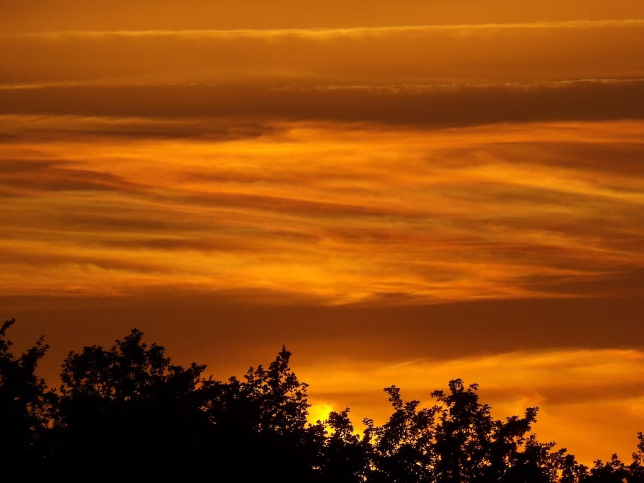 sunset, dawn, dusk, evening, sky, nature, dramatic, tree, cloud - sky HD wallpaper