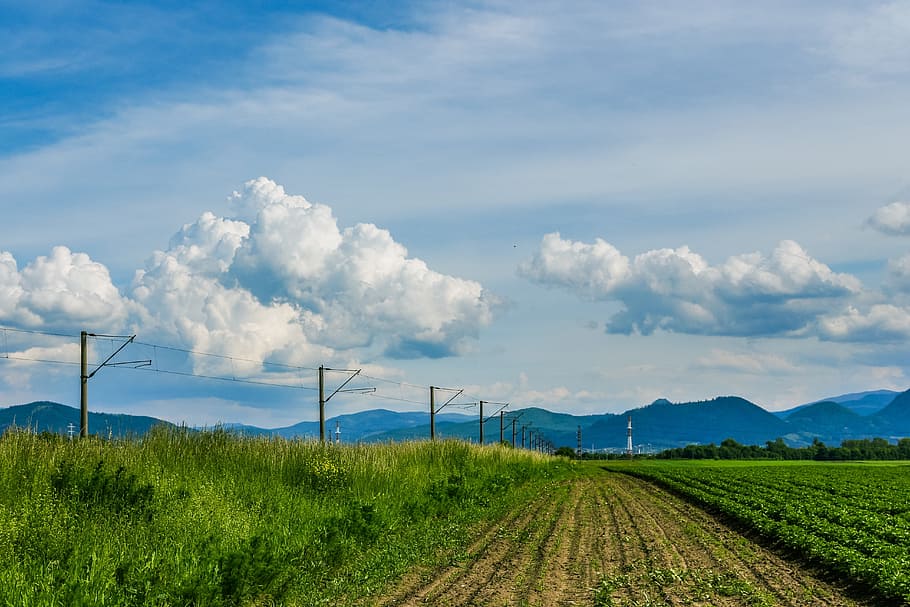 green, grass, grassland, mountain, landscape, nature, field HD wallpaper