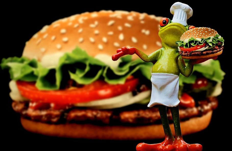 hamburger, cheeseburger, cooking, frog, funny, food, preparation HD wallpaper