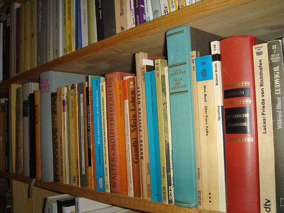 books, library, read, bookcase, book shelf, education, study HD wallpaper