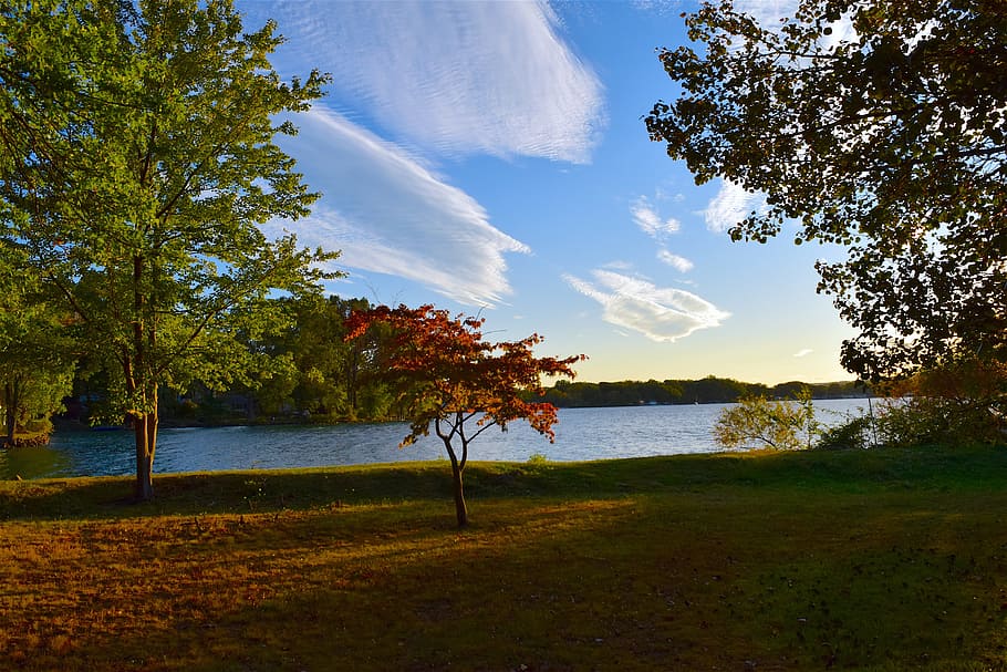 tree, lake, sunset, autumn, sky, nature, light, sunlight, shadow HD wallpaper