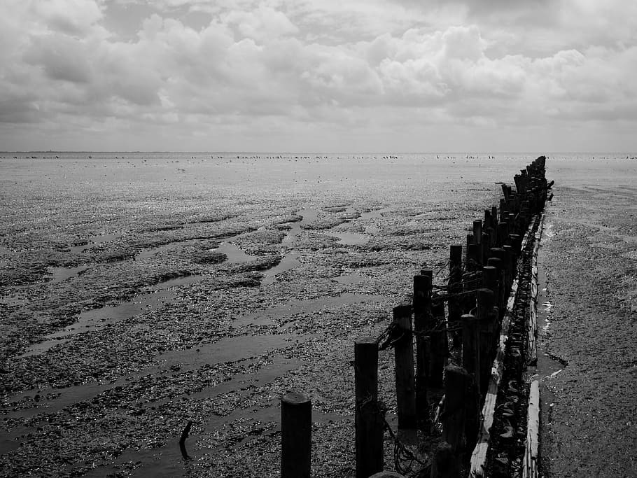 water, salt, sea, black And White, nature, sky, cloud - sky HD wallpaper
