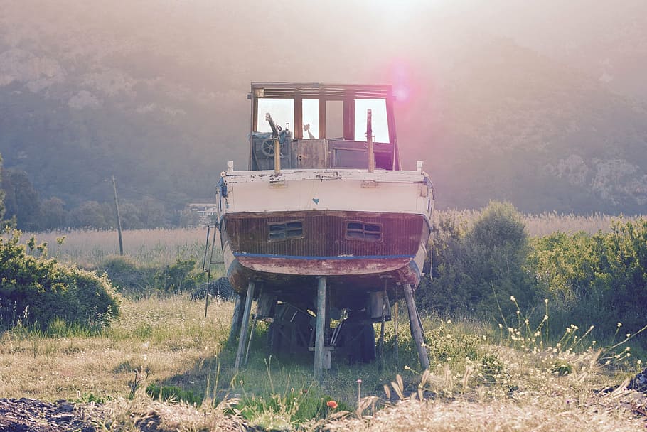 white boat near green leafed plants, brown, motorboat, trailer HD wallpaper