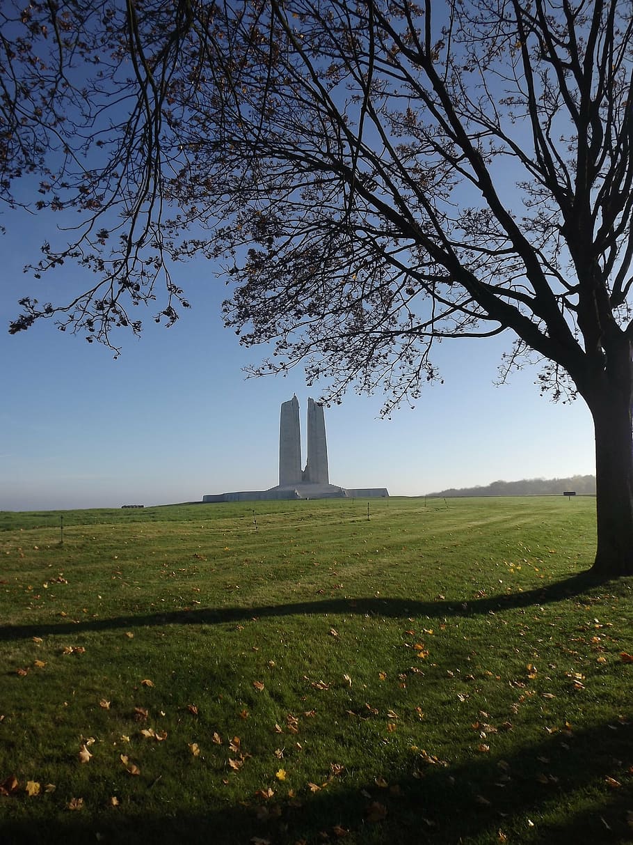monument, canadian, vimy, pas de calais, plant, tree, sky, land HD wallpaper