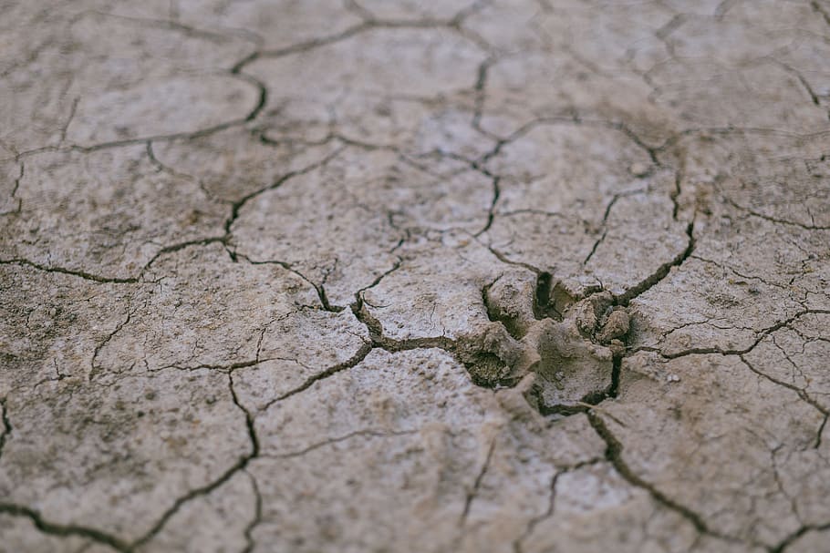 desert, dry, ground, environment, arid, calamity, crack, cracks HD wallpaper