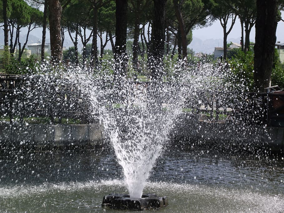 travel, pool, water, motion, spraying, plant, splashing, tree HD wallpaper