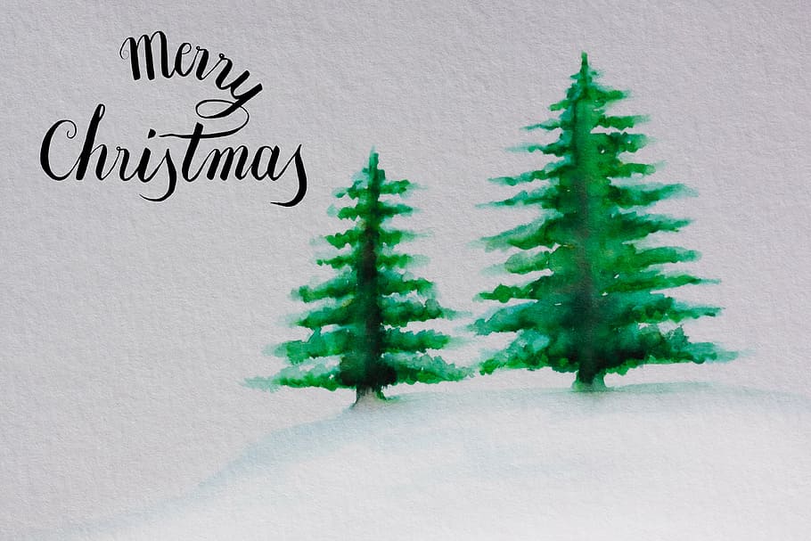 two green pine trees painting, christmas, map, christmas tree HD wallpaper