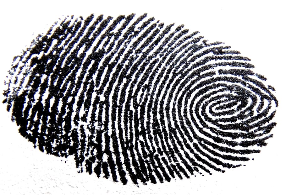 human thumb mark finger print, fingerprint, traces, pattern, detective