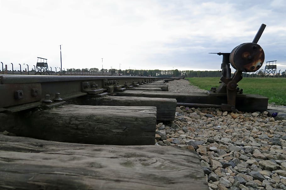 auschwitz, poland, war, camp, tracks, train, memorial, transportation HD wallpaper