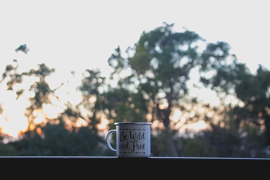 white ceramic mug on terrace, white be wild and free-printed mug on brown shelf HD wallpaper
