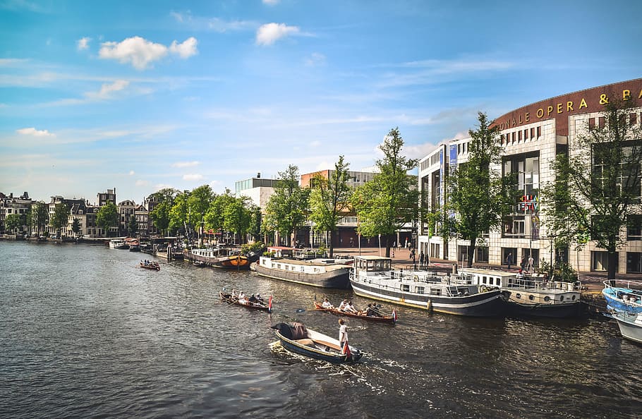 buildings, structure, trees, plant, nature, canal, lake, sea HD wallpaper