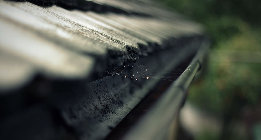 rain gutter, roof, cobweb, network, drip, selective focus, close-up HD wallpaper