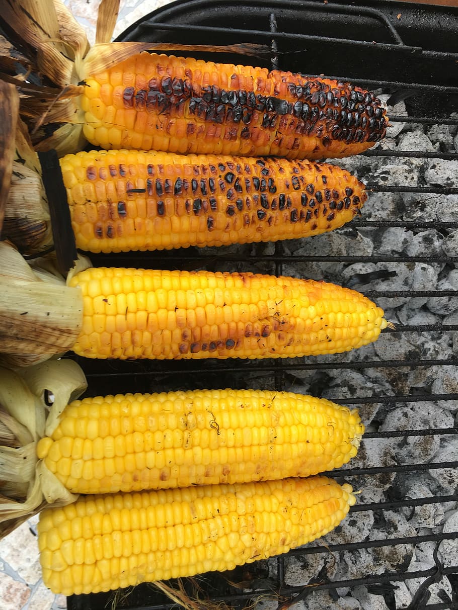 Corn, Kitchen, Grill, food and drink, corn on the cob, yellow HD wallpaper