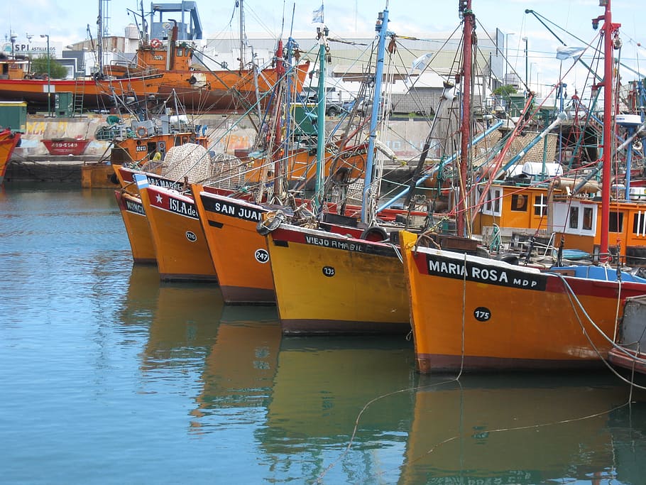mar del plata, argentina, boats, ship, fishing, dock, sea, coast, HD wallpaper