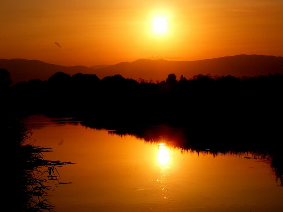Sunset, Water, Sky, Cane, red, orange, fire, reflection, silhouette HD wallpaper