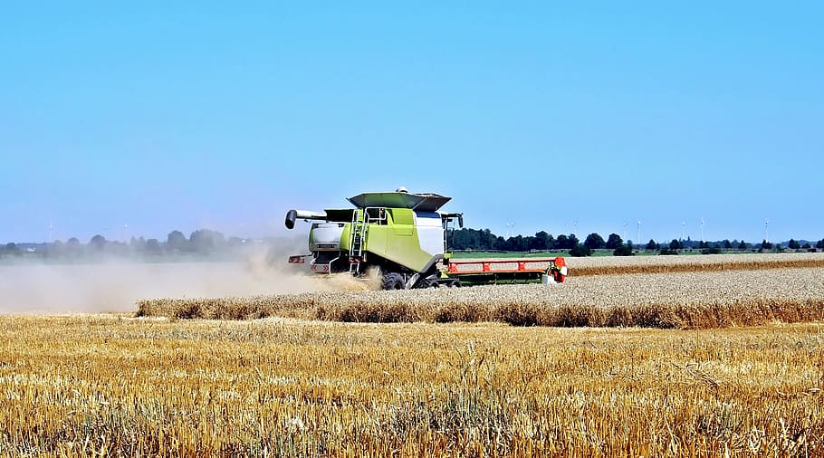 green heavy equipment in midst of wheat field, technology, nature HD wallpaper